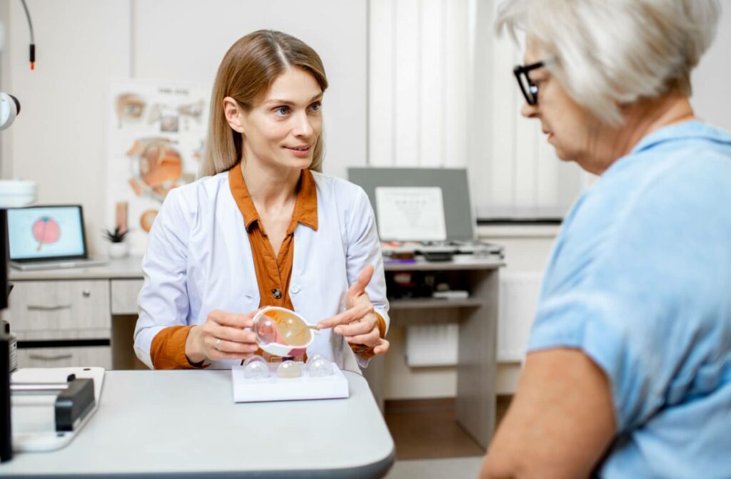 Using an anatomical model of an eye, an optometrist explains how certain factors can cause astigmatism to worsen.